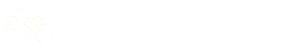 SA Papers Logo